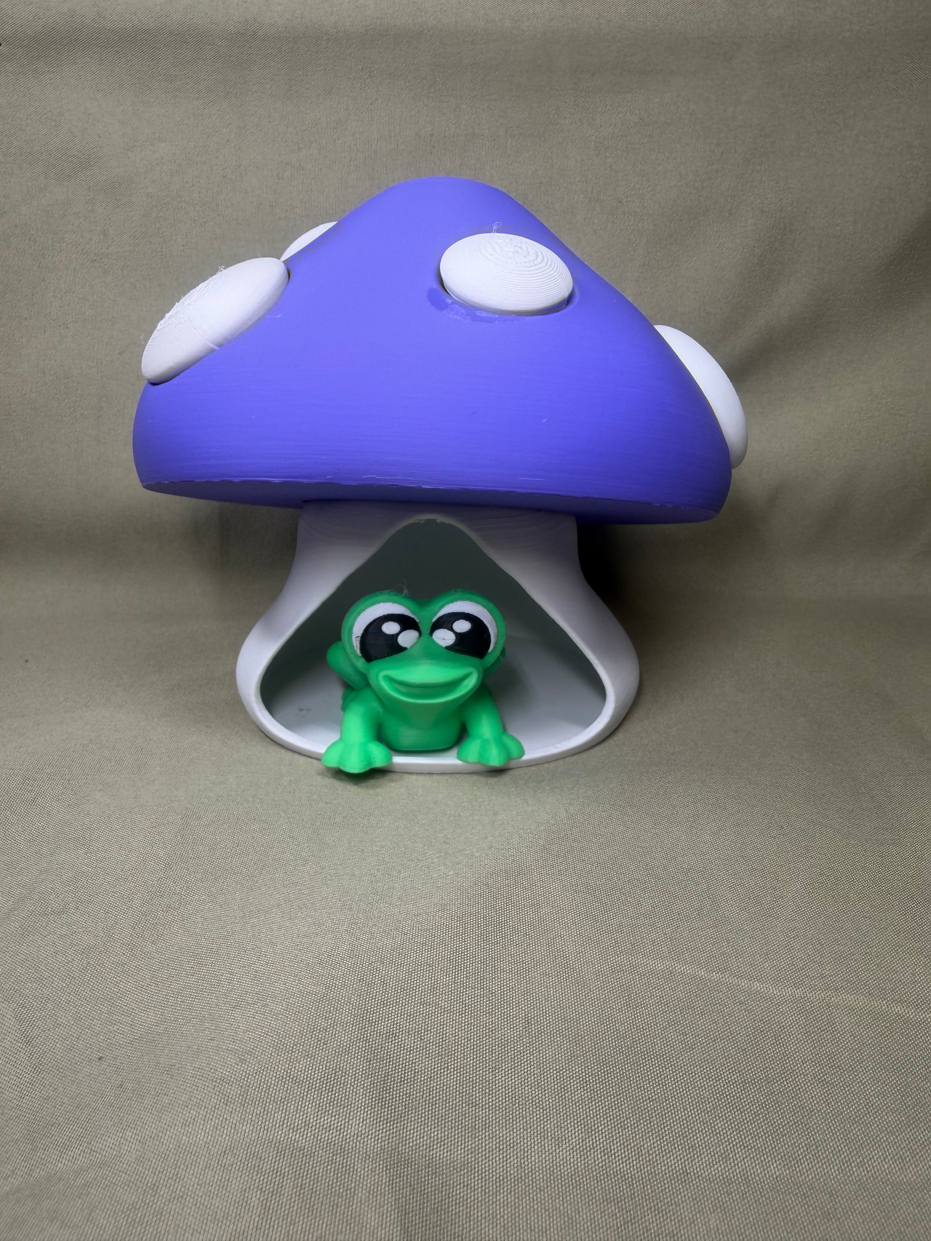 3d Printed Frog House
