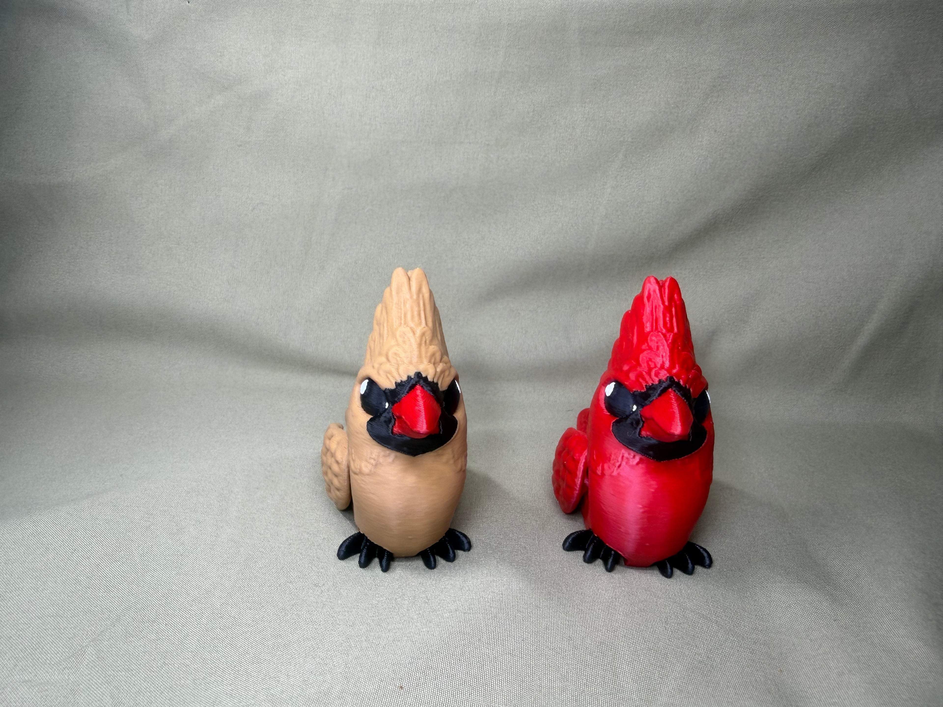 Mr & Mrs Cardinal Duo Set